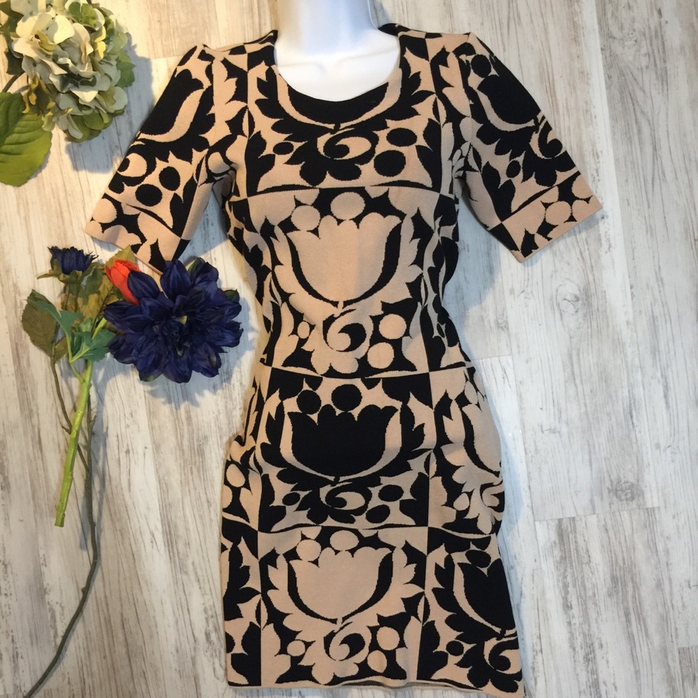 🏆HP🍾Gorgeous tulipsSOLD